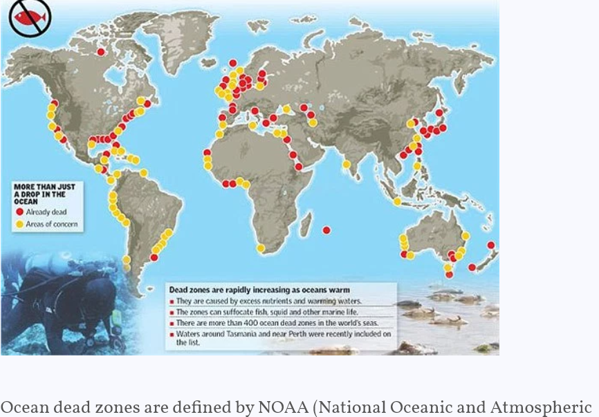 dead zones in oceans