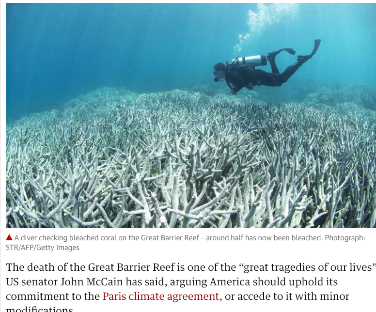 coral reef dies