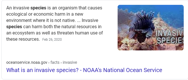 the invasion of everything; human caused