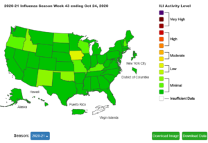 flu not covid