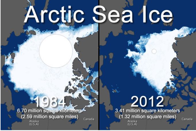 sea ice