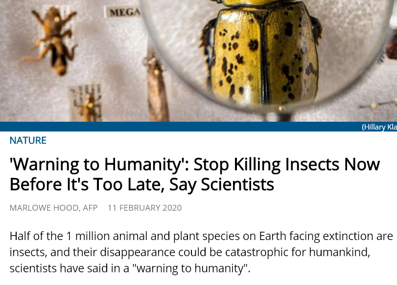 catastrophic