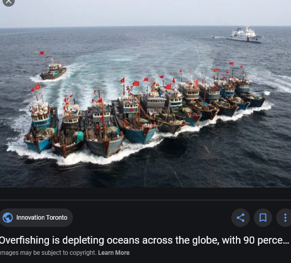 overfishing