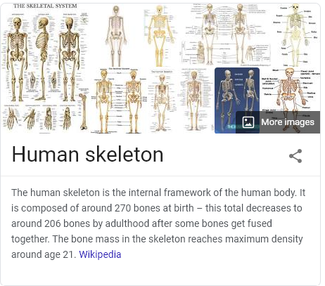 body facts3
