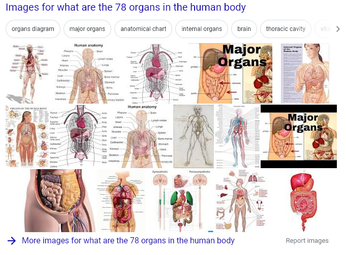 body facts5