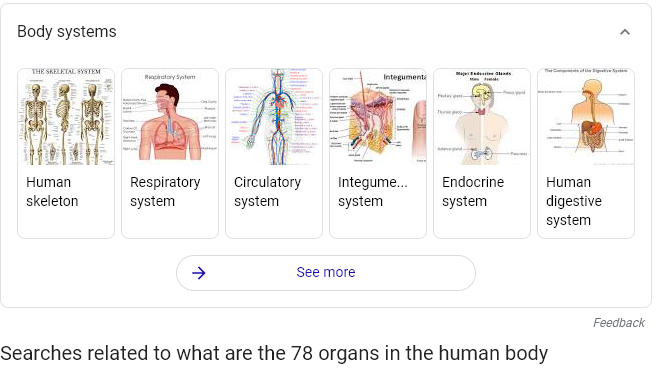body facts4