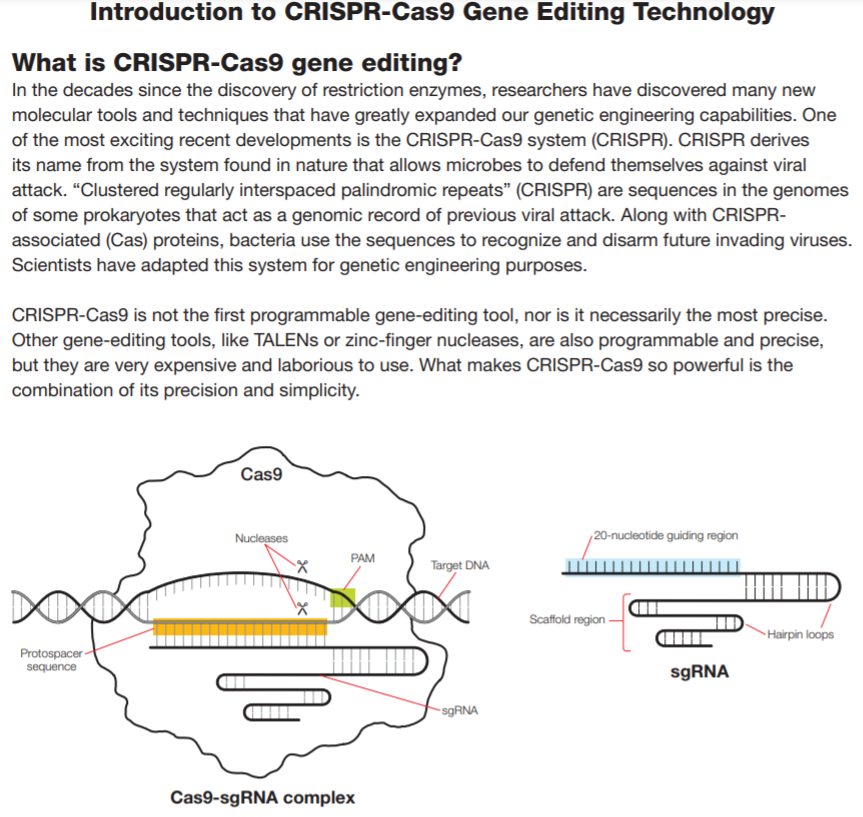 crispr