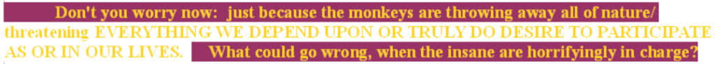 monkeys in charge