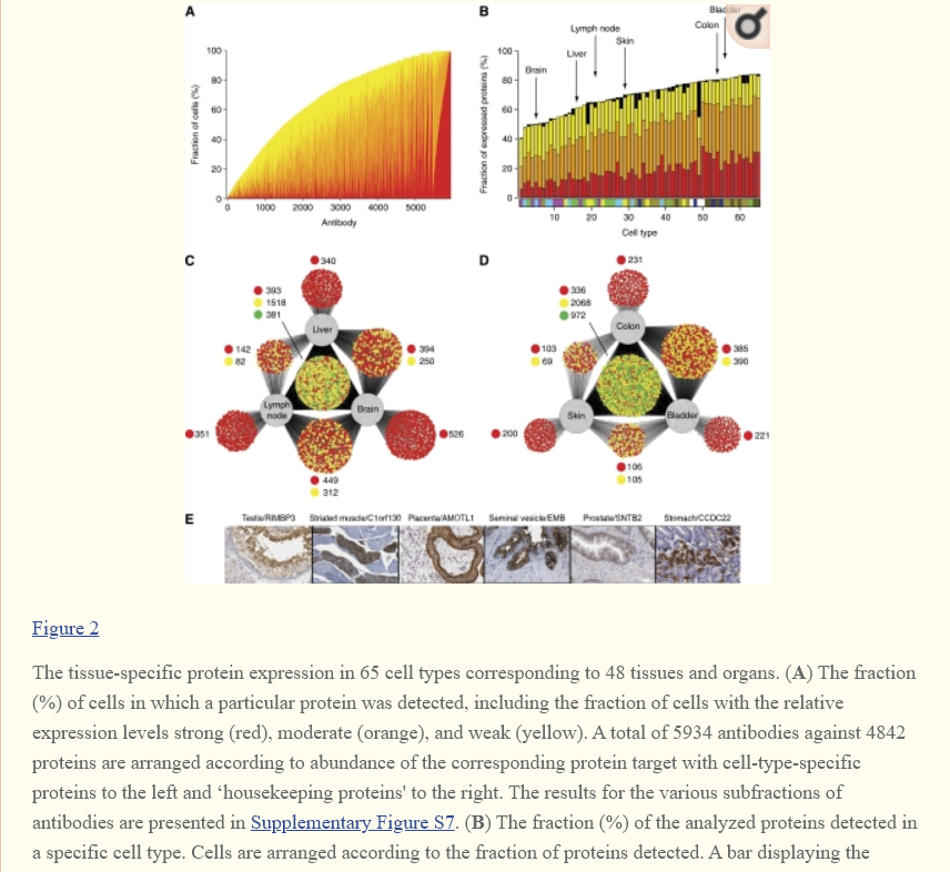 complexity beyond human
