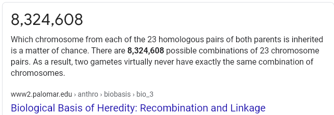 it is the rotting corpse of university satan that misleads humanity